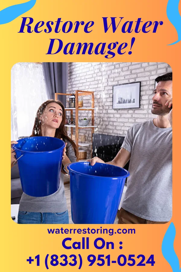 water restoration Vigilant Flood Mitigation Inc Potterville