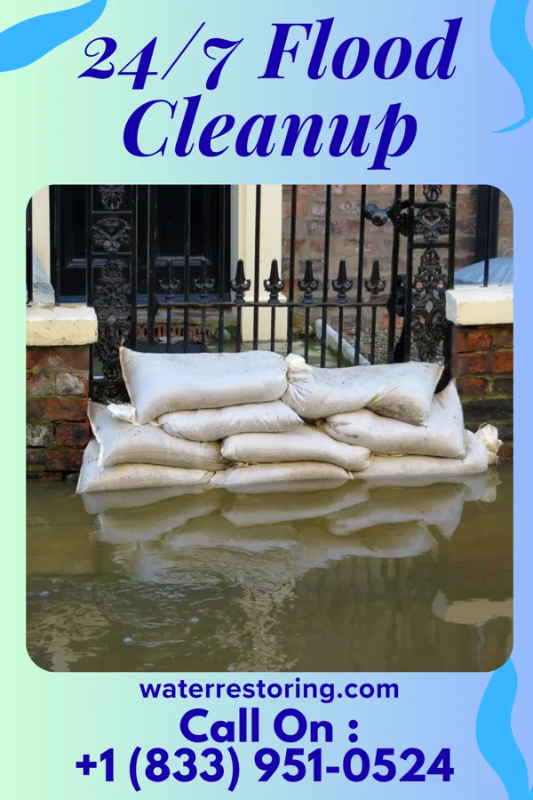 24/7 Flood Cleanup in Potterville, MI