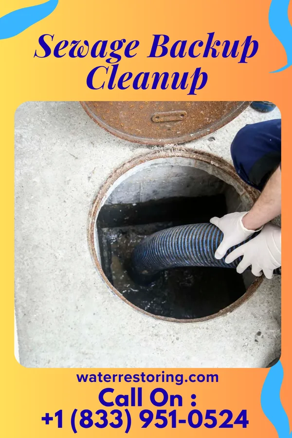 Sewage Backup Cleanup in Potterville, MI