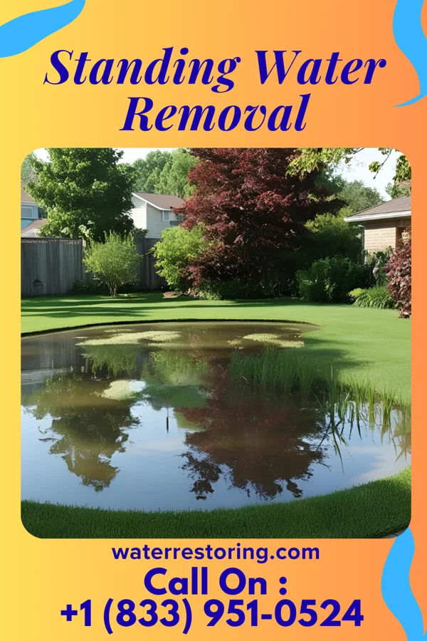 Standing Water Removal in Potterville, MI
